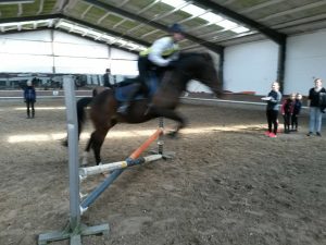 Springen